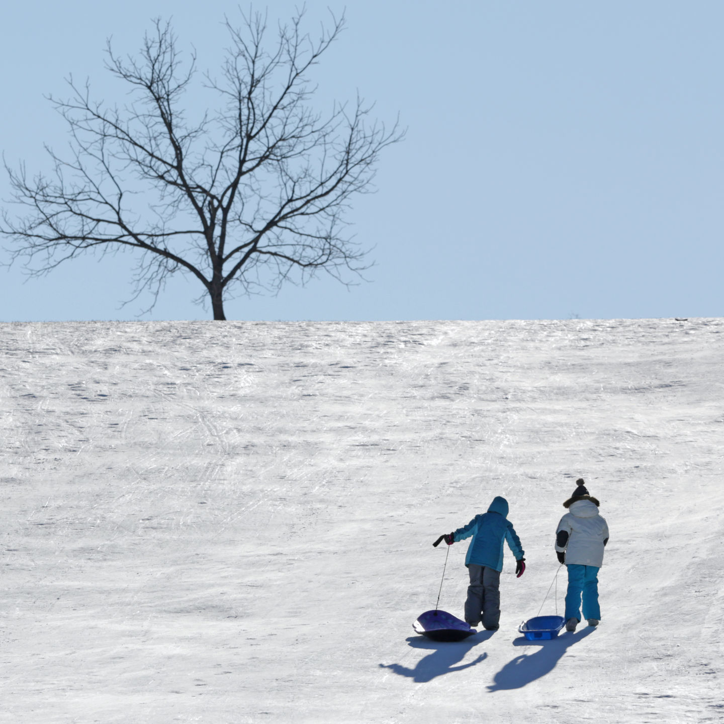 Sledding hill